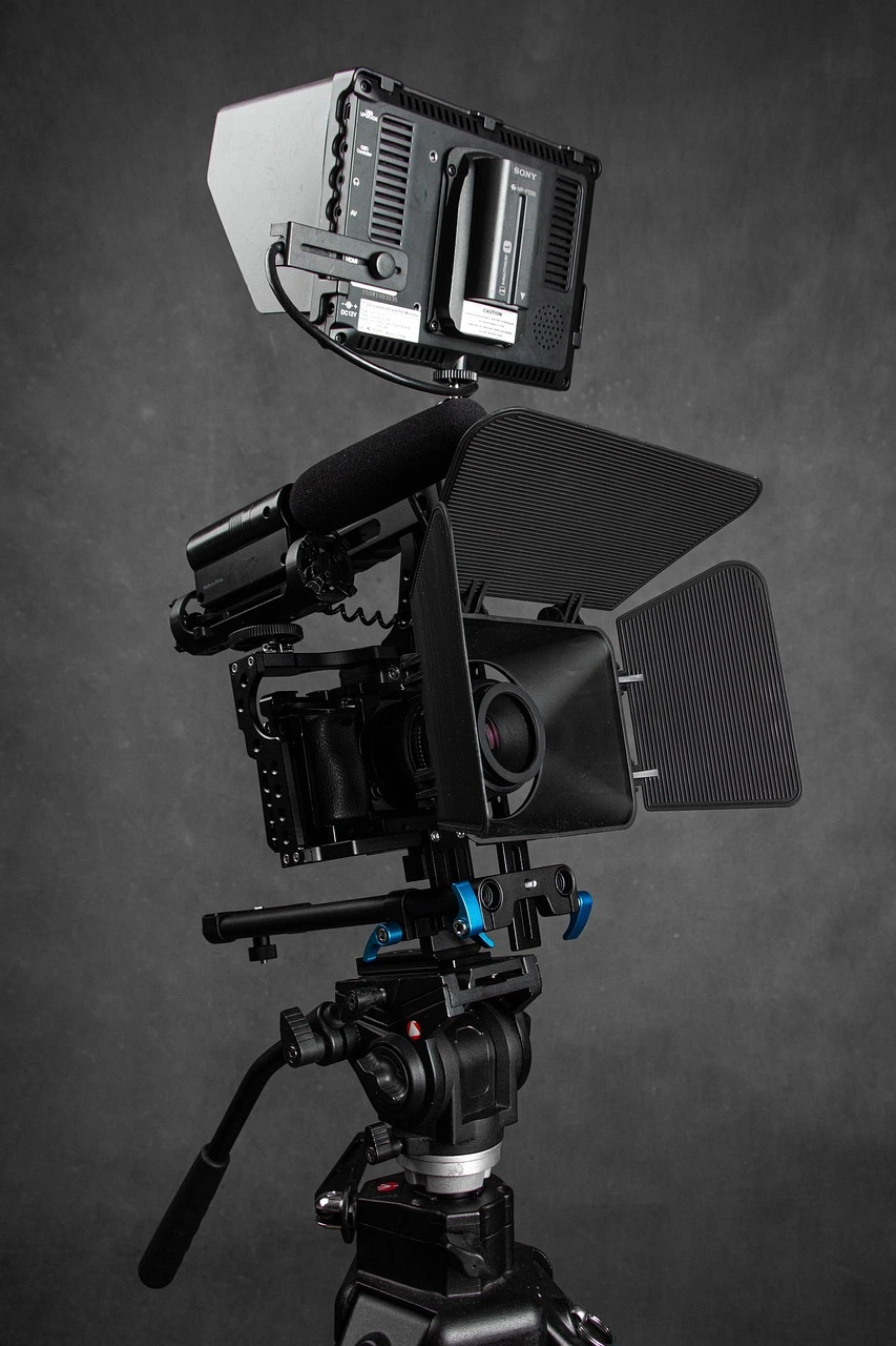 Rhino symbolizing endurance